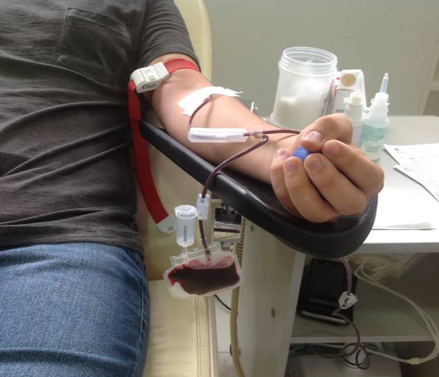 Começa campanha de doação de sangue voltada a pessoas LGBTQIA+