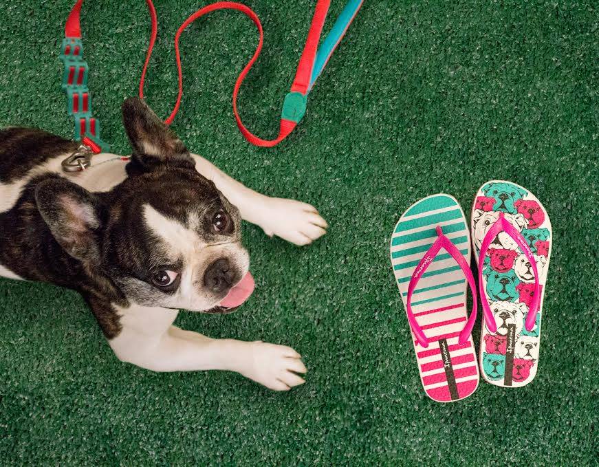 Exposição retrata cariocas com seus animais de estimação