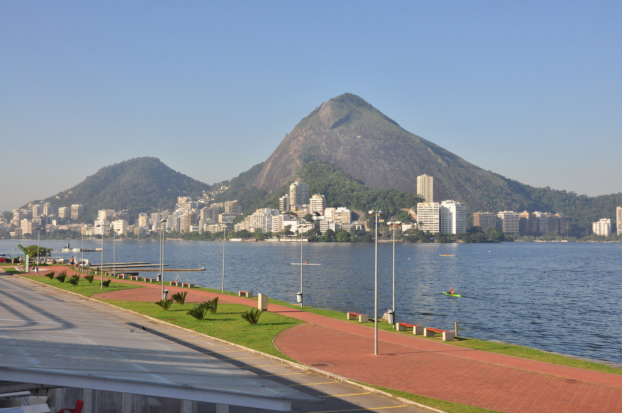 AquaRio faz ação de replantio e repovoamento do mangue da Lagoa