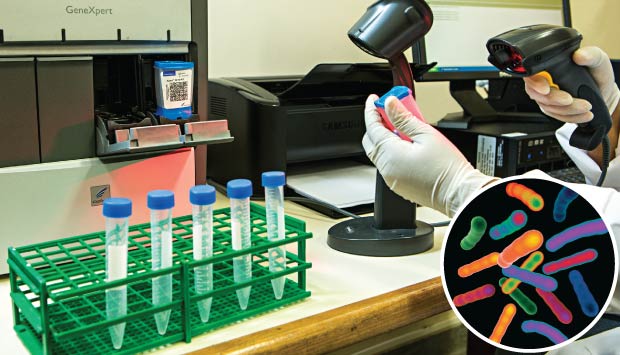 Guerra contra o bacilo