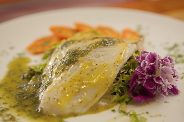 Fique longe das ciladas