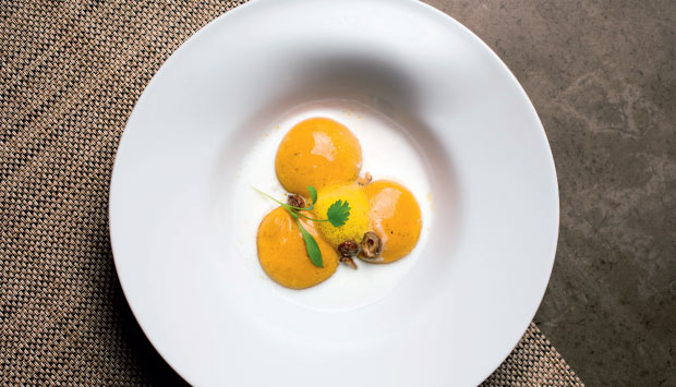 O melhor contemporâneo: Oro