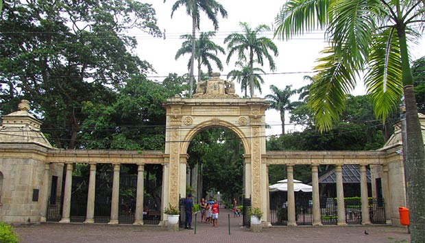 RioZoo inicia retirada de grades nesta terça (05)