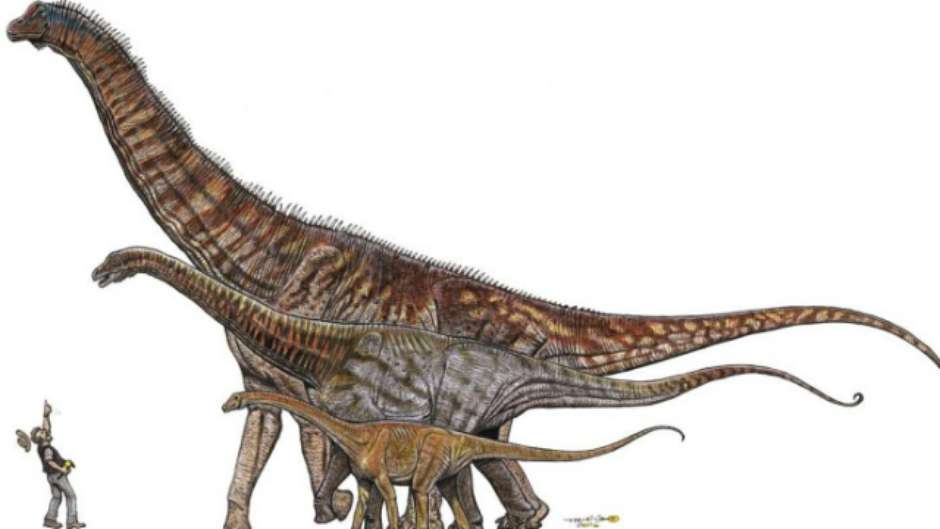 Cientistas anunciam descoberta de fóssil do maior dinossauro do país