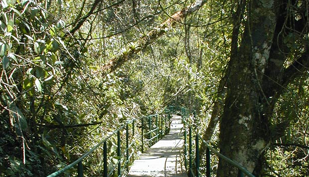 Rio terá pedaço de 737 km de trilha idealizada pela WWF-Brasil