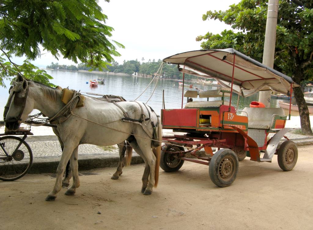 Estado proíbe uso de animais como tração de veículos