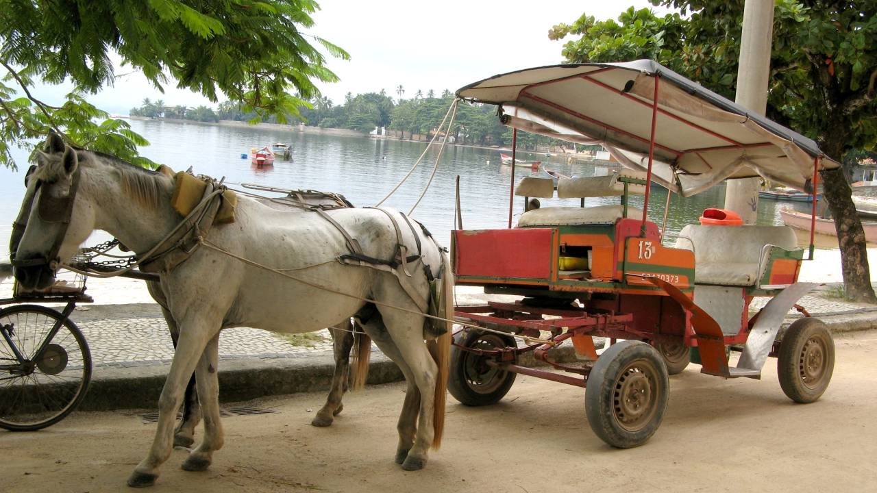 Charrete