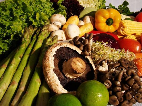 A dieta da moda