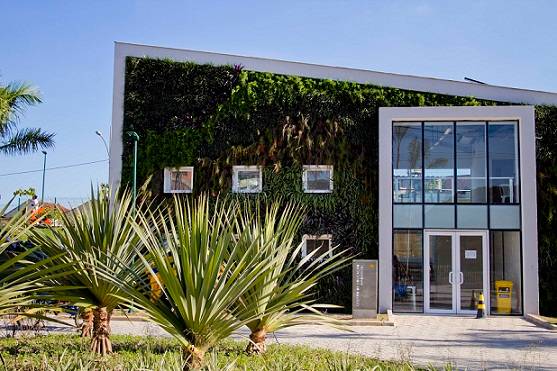 A parede coberta por esp&eacute;cies de planta reduz a temperatura no interior e encanta quem passeia por l&aacute;. Ainda aguardas, no entanto, as atividades voltadas para o meio ambiente<br>