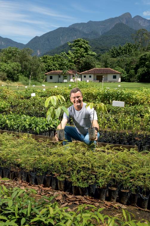 Projeto refloresta área de 100 hectares próximo ao rio Guapiaçu