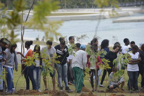 Floresta dos Atletas começa a ser plantada no Rio