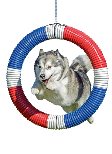 Cãolimpíada