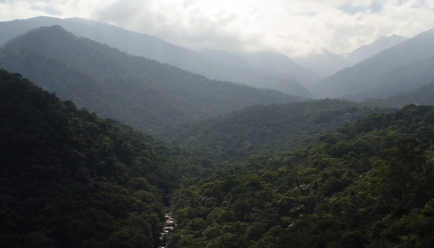Cidade fluminense registra “neve” e menor temperatura do Brasil