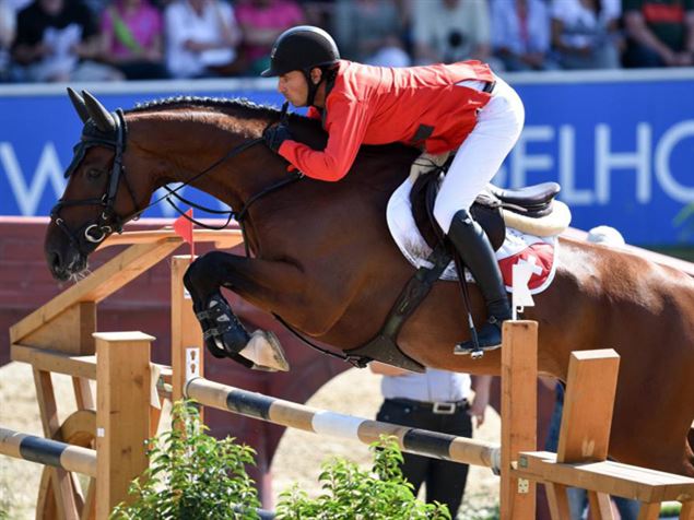 A complexa operação para receber os cavalos dos Jogos Rio 2016