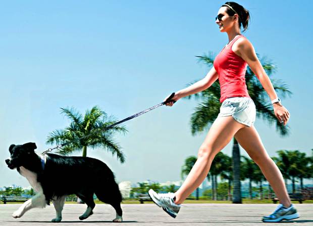 Recreio dos Bandeirantes recebe caminhada animal
