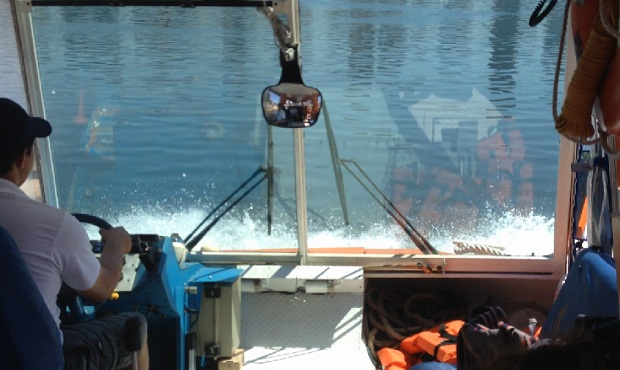 O momento em que o ônibus anfíbio entra na água e se tranforma em barco.<br>