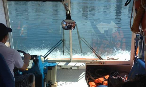 O momento em que o &ocirc;nibus anf&iacute;bio entra na &aacute;gua e se tranforma em barco.<br>