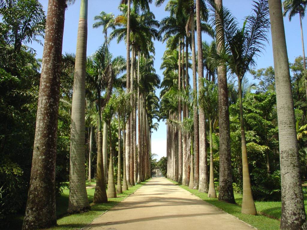 Jardim Botânico do Rio permanece fechado na quinta (10)