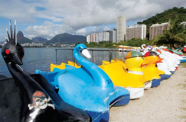 Cisnes como devem ser: pedalinhos da Lagoa serão revitalizados
