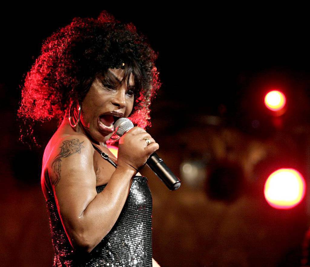 Elza Soares faz show gratuito na Academia Brasileira de Letras