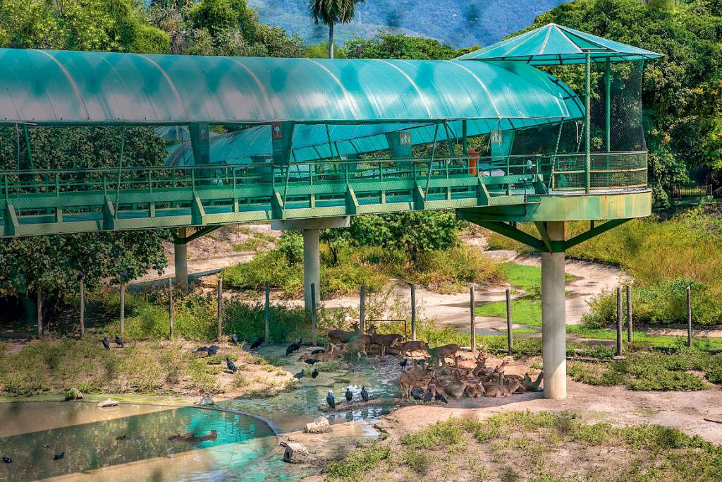 Reforma do Zoológico deve começar ainda este ano