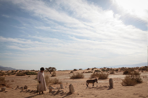 Confira 57 atrações gratuitas para curtir o fim de semana