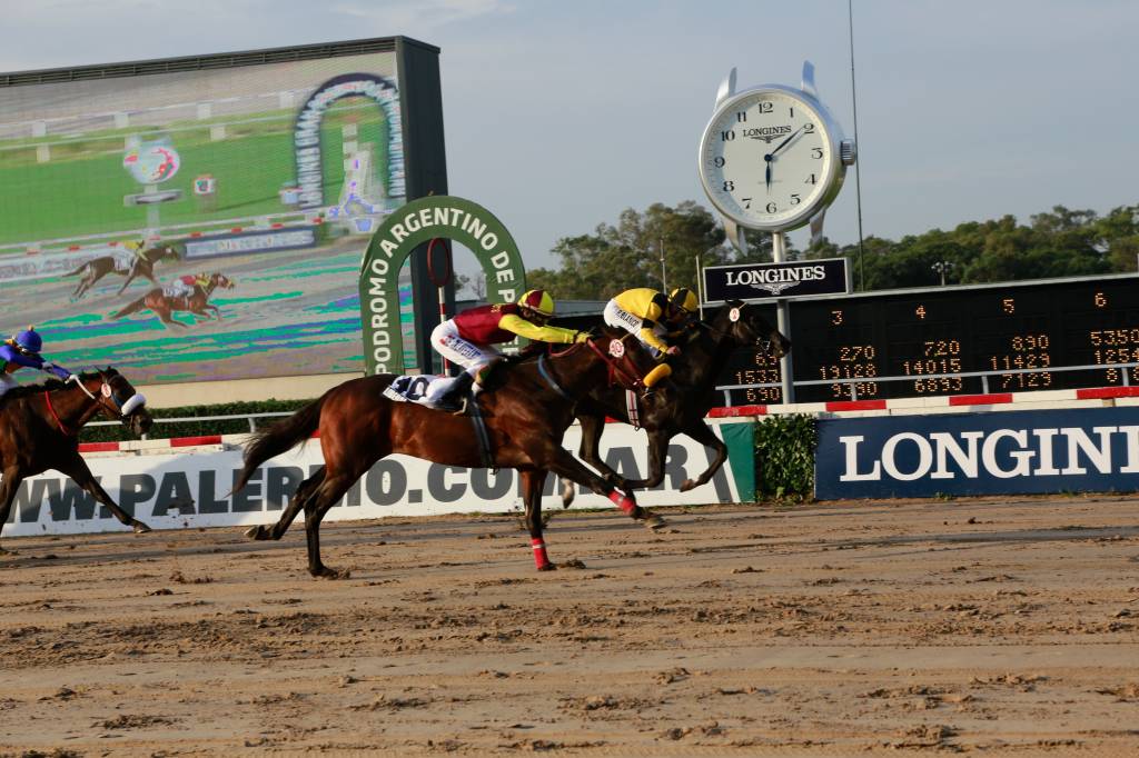 Maior evento de turfe da América do Sul volta ao Rio