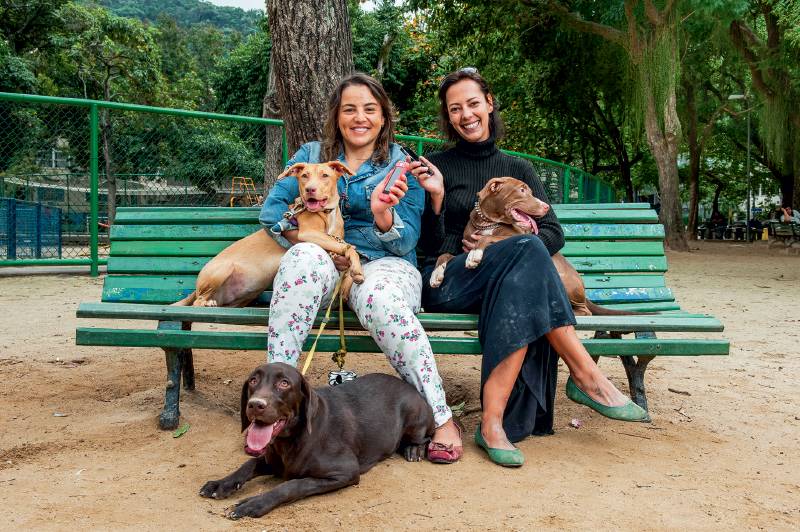 Grupo Cachorrada do Bairro Peixoto troca dicas sobre cães na internet