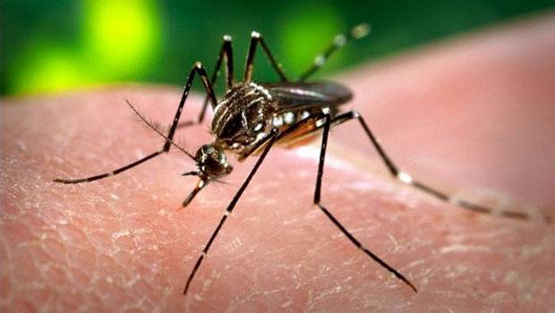 Olimpíadas não serão canceladas por causa do vírus Zika, diz ministro