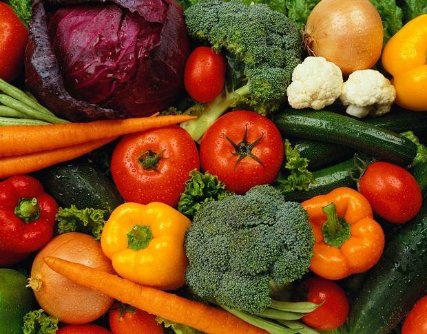 Rio recebe evento internacional sobre hábitos de alimentação saudável