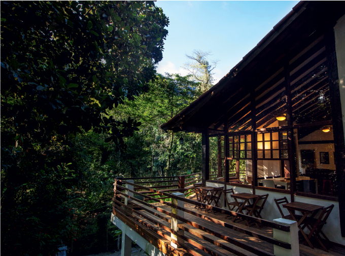 Hotéis em áreas verdes atraem turistas e cariocas