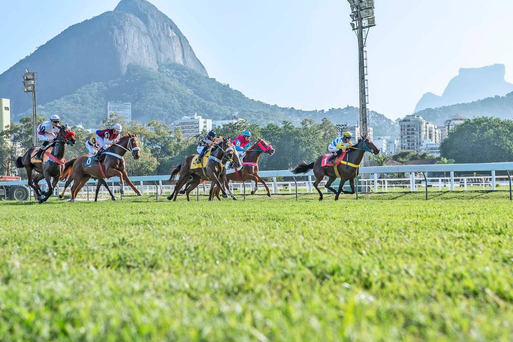 Jockey Club recebe prova de turfe com entrada gratuita