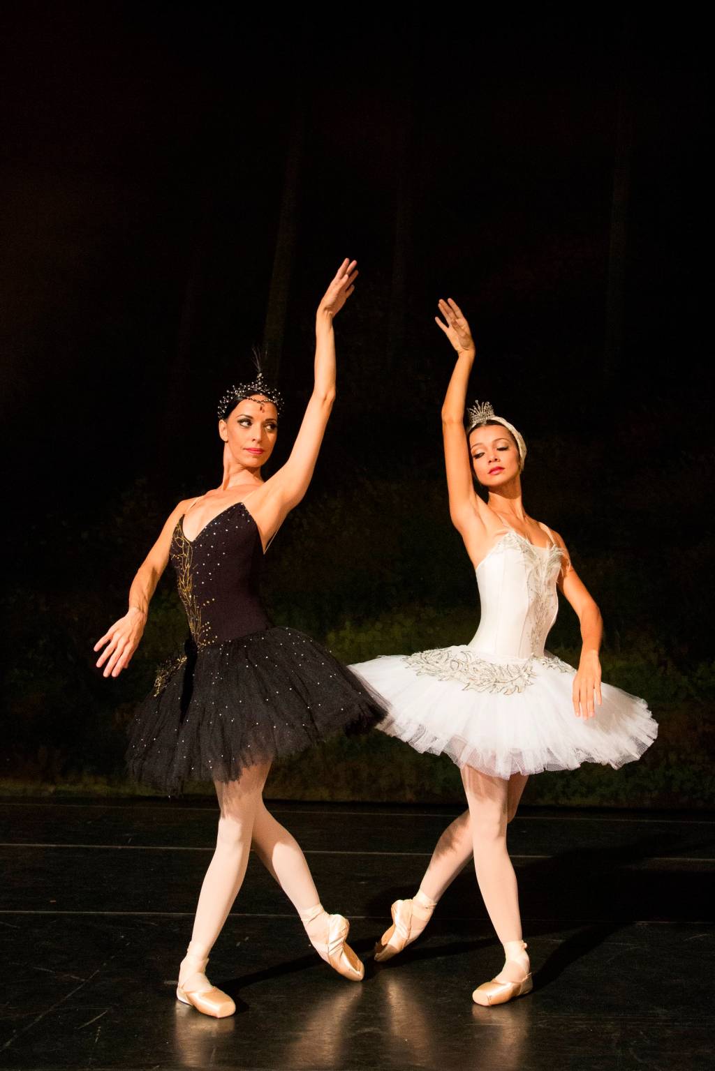 Theatro Municipal cancela apresentação de O Lago dos Cisnes