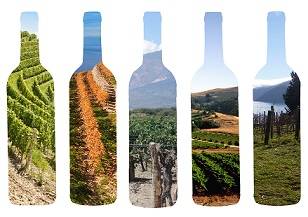 O que é Terroir?