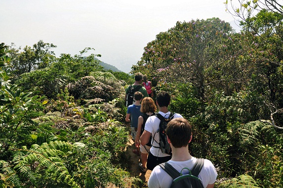 Fundado em 1961, o Parque Nacional da Tijuca pode ser percorrido por cerca de 90 trilhas oficiais<br> Fundado em 1961, o Parque Nacional da Tijuca pode ser percorrido por cerca de 90 trilhas oficiais<br>