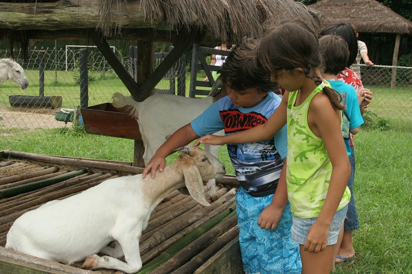 Dez hotéis para viajar com as crianças