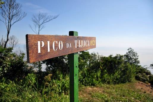 Ap&oacute;s pouco mais de uma hora de caminhada, &eacute; poss&iacute;vel chegar ao topo do Pico da Tijuca. Trata-se do segundo local mais alto da cidade, com 1021 metros de altitude<br>
