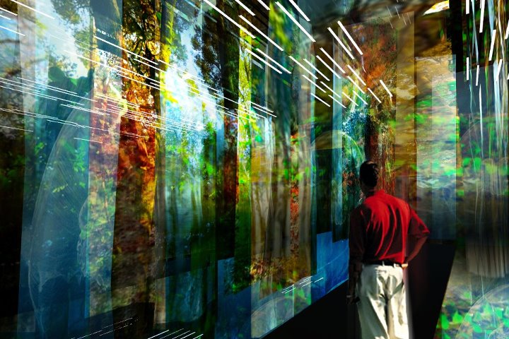 Com pé direito de cinco metros, a sala tem chão, teto e paredes cobertos por espelhos, onde fotografias impressas em tecido criam proliferação infinita de imagens de vegetação. São exibidos exemplares de cerrado, mata atlântica, amazônia, caatinga, pampas<br> Com pé direito de cinco metros, a sala tem chão, teto e paredes cobertos por espelhos, onde fotografias impressas em tecido criam proliferação infinita de imagens de vegetação. São exibidos exemplares de cerrado, mata atlântica, amazônia, caatinga, pampas<br>