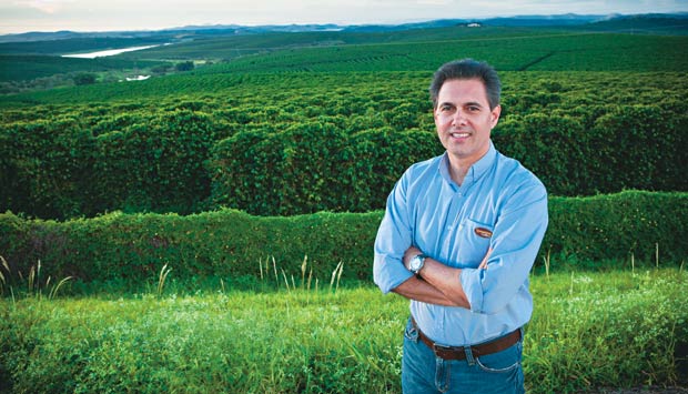 A riqueza retorna aos cafezais