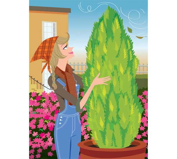 Um dos piores inimigos das plantas são os ventos, que arrancam folhas e galhos, levam a terra embora e derrubam vasos. No inverno, eles se tornam ainda mais potentes. "O vento sudoeste costuma ser o prenúncio de geadas", alerta Raul Cânovas. Para proteger<br> Um dos piores inimigos das plantas são os ventos, que arrancam folhas e galhos, levam a terra embora e derrubam vasos. No inverno, eles se tornam ainda mais potentes. "O vento sudoeste costuma ser o prenúncio de geadas", alerta Raul Cânovas. Para proteger<br>