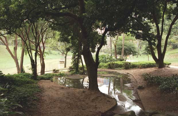 O espa&ccedil;o de quase 25 000 metros quadrados em Laranjeiras constitu&iacute;a os jardins do palacete de Eduardo Guinle (1846-1914), empres&aacute;rio patriarca da fam&iacute;lia Guinle, erguido na d&eacute;cada de 1920. A &aacute;rea verde foi projetada pelo paisagista franc&ecirc;s G&eacute;rard Cochet.<br>