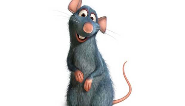 R&eacute;my, o ratinho do filme Ratatouille, vive em uma col&ocirc;nia de ratos no s&oacute;t&atilde;o de uma casa na zona rural da Fran&ccedil;a, juntamente com seu irm&atilde;o &Eacute;mile e seu pai Django. Ao contr&aacute;rio de seus semelhantes, R&eacute;my &eacute; um gourmet cujo habilidoso olfato &eacute; &uacute;til para distin<br>