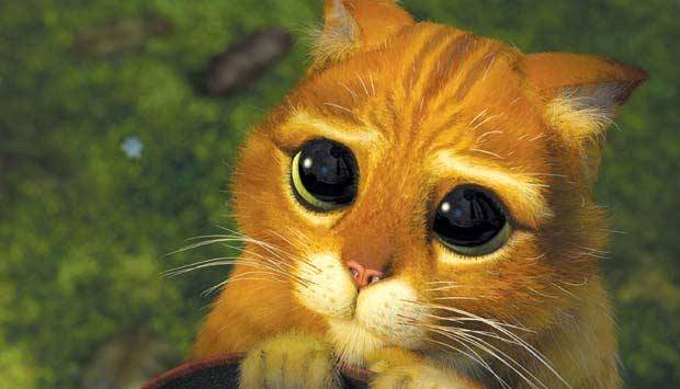 Como quase todos personagens de Shrek, este gatinho &eacute; uma refer&ecirc;ncia de um conto cl&aacute;ssico; no caso, O Gato de Botas. No filme, ele faz v&aacute;rias refer&ecirc;ncias ao personagem Zorro. O Gato de Botas foi contratado para destruir Shrek, a mando do Rei Harold, que q<br>