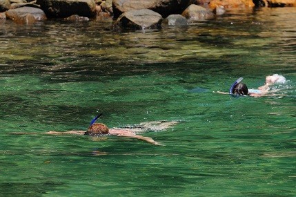 De tão translúcida, as águas dali permitem um perfeito mergulho de snorkel para admirar incontáveis cardumes de peixes e estrelas do mar<br> De tão translúcida, as águas dali permitem um perfeito mergulho de snorkel para admirar incontáveis cardumes de peixes e estrelas do mar<br>