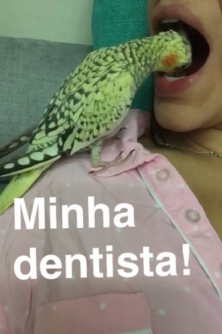 Depois da cúrcuma de Bela Gil para escovar os dentes, Bruna Marquezine revela o seu método: limpeza com passarinho