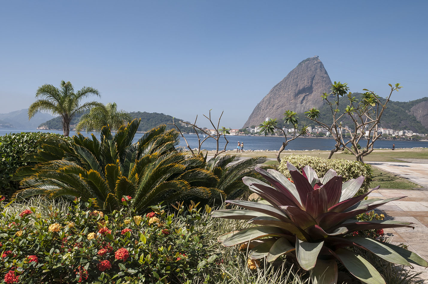 Parque do Flamengo recebe Festa do Japão neste fim de semana
