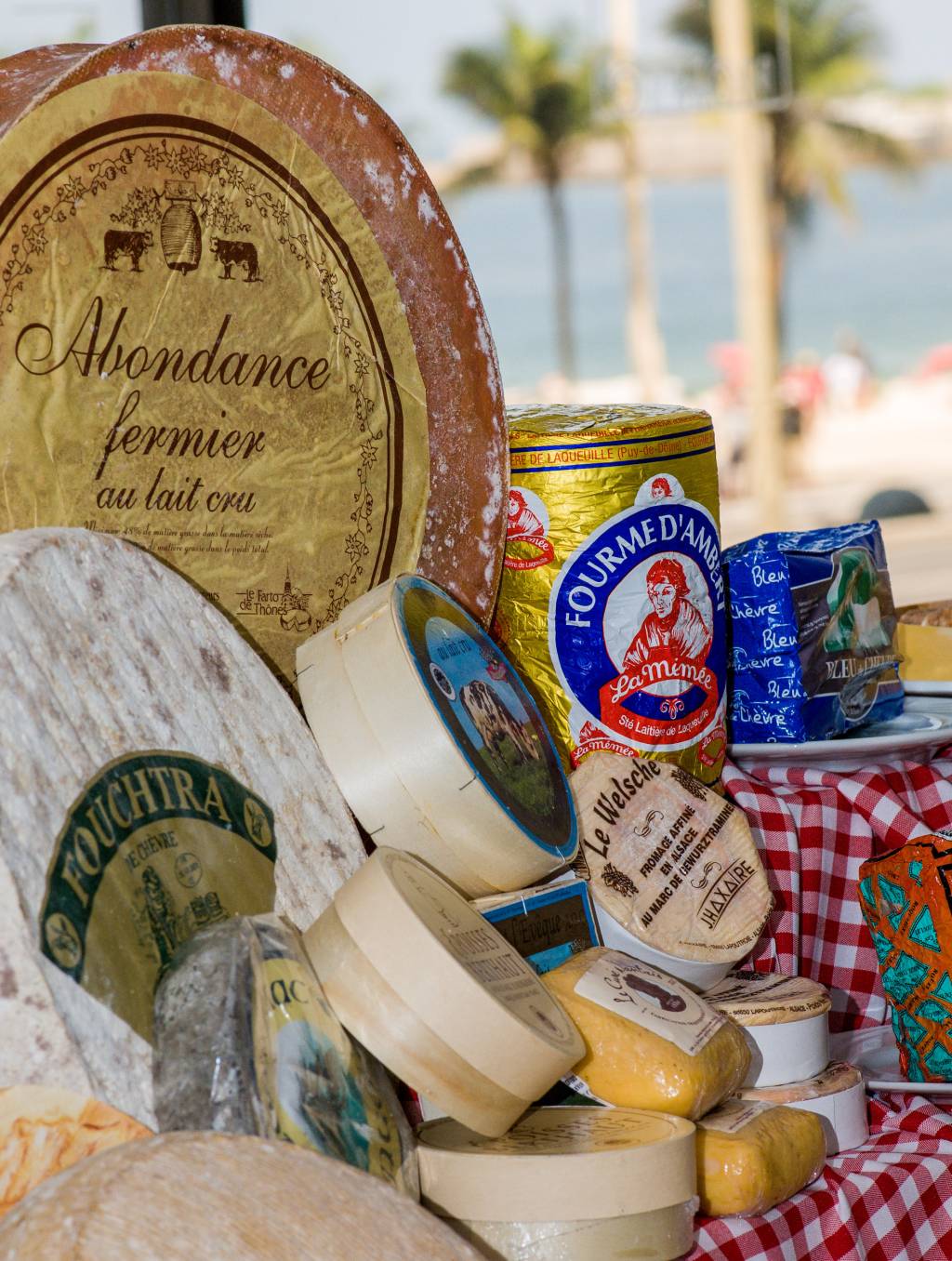 Uma volta à França em 117 queijos