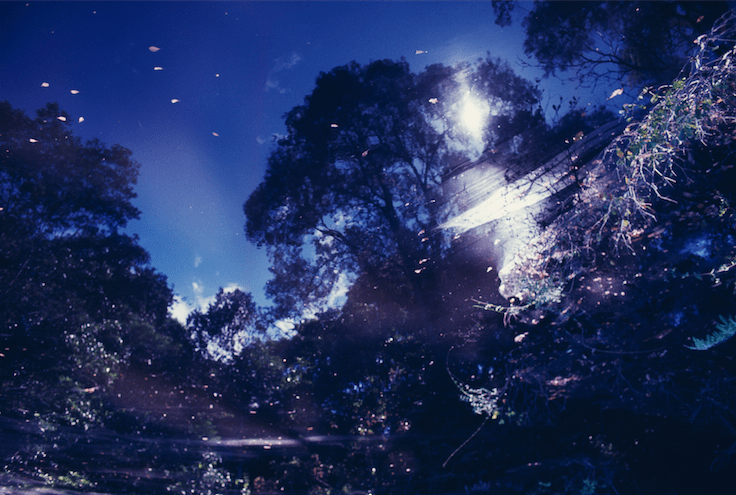 Fotografia de Claudia Andujar: suíça radicou-se no Brasil em 1955 e percorreu o país produzindo imagens