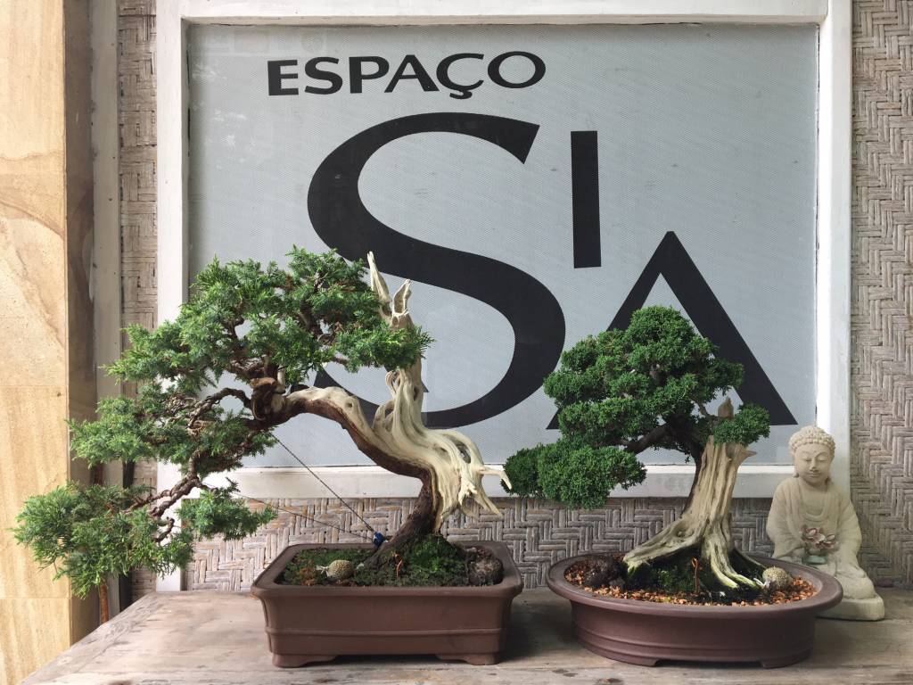 Museu do Bonsai
