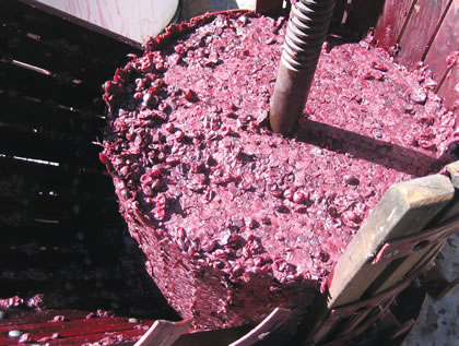 Veja o que é a osmose reversa